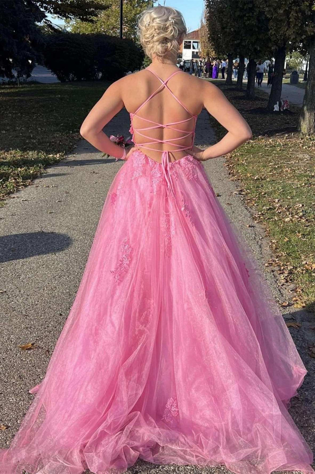 Blush Spaghetti Straps A-Line Tulle Long Prom Dress with Appliques