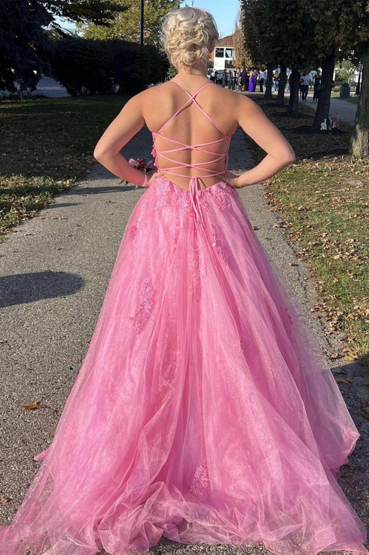 Blush Spaghetti Straps A-Line Tulle Long Prom Dress with Appliques